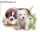 Puppies　Mot4