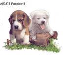 Puppies　Mot3 A57276