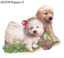 Puppies  Mot2  A57276
