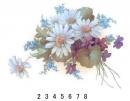 Daisy & Violet  70446A