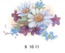 Daisy & Violet  70446A