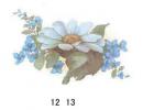 Daisy & Violet　　70446A