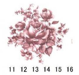 Acobasa Purple- Round の花