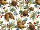 Pine Cones 松ぼっくり