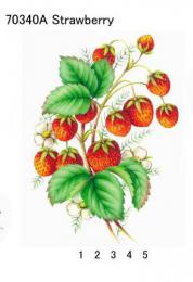 Strawberry　70340A