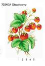 Strawberry　70340A