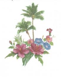 Tropical　　70502A
