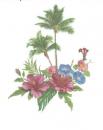 Tropical　　70502A