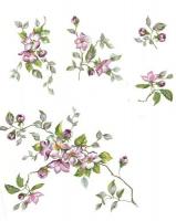 JM　Printemps