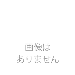 ミニチュア　Tea　Set　(トレイ付き)